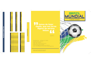 Flyer_Mundial14_StC