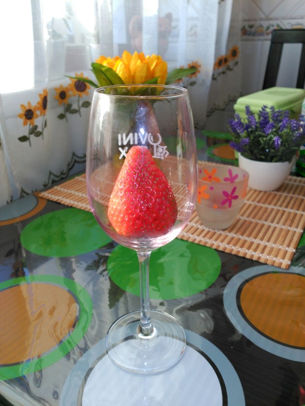 IMG_20160411_190606.jpg image